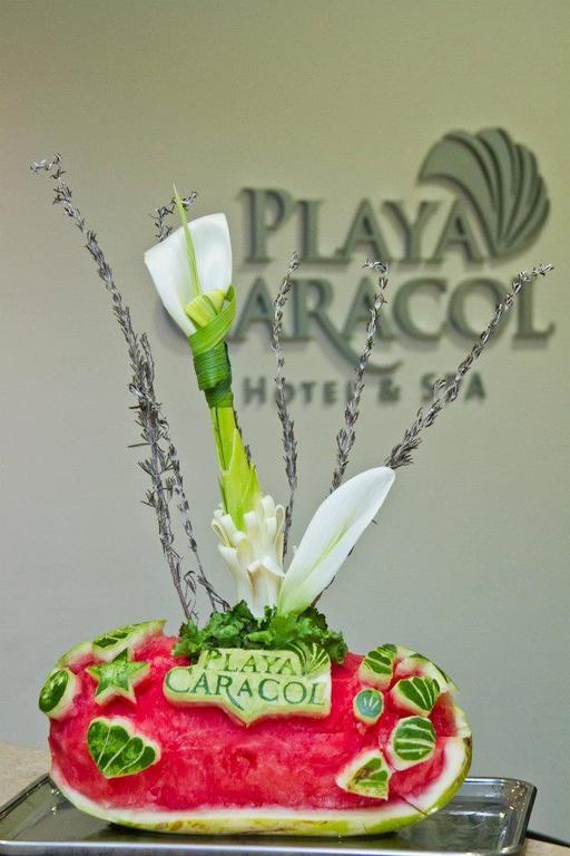Playa Caracol Hotel & Spa Veracruz Exterior photo